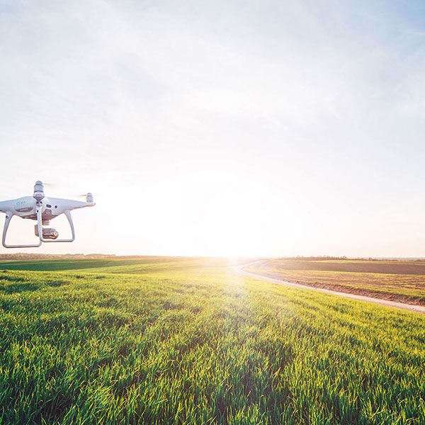 Telepilote de drone