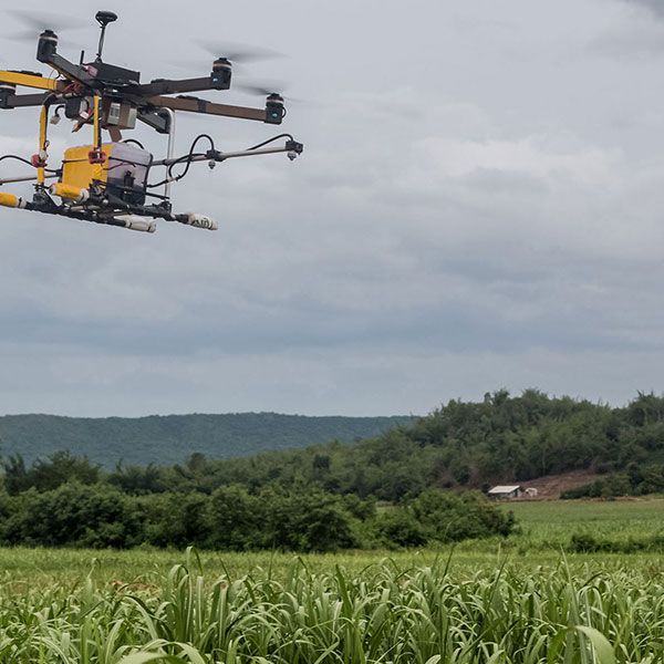 Licence pilote de drone