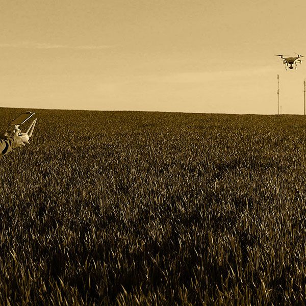 Licence pilote de drone