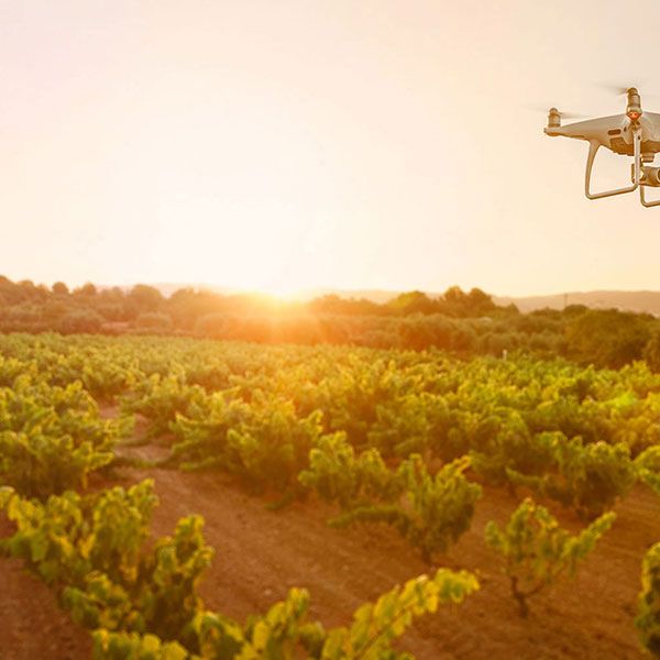 Meilleur pilote de drone