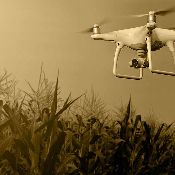 Recherche pilote de drone