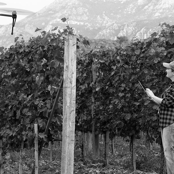 Licence pilote de drone