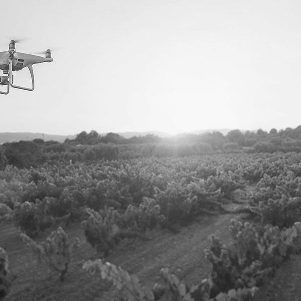 Trouver un pilote de drone