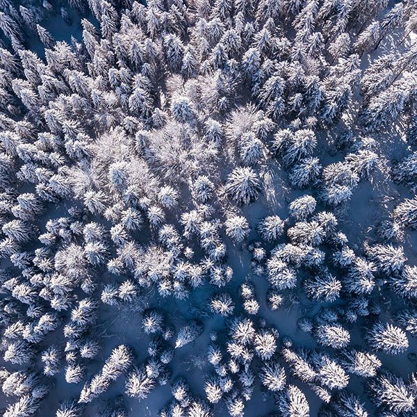 Pilote drone professionnel