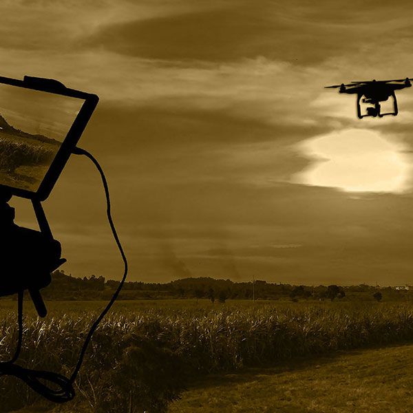 Licence pilote de drone