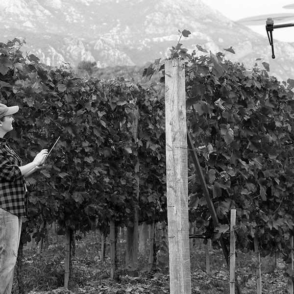 Pilote drone professionnel