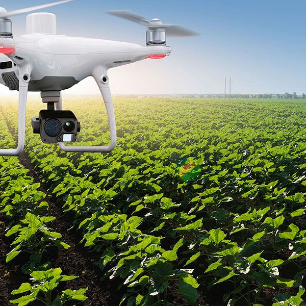 Pilote drone professionnel