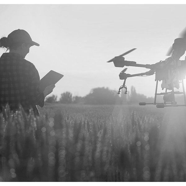 Tarif moyen prestation drone