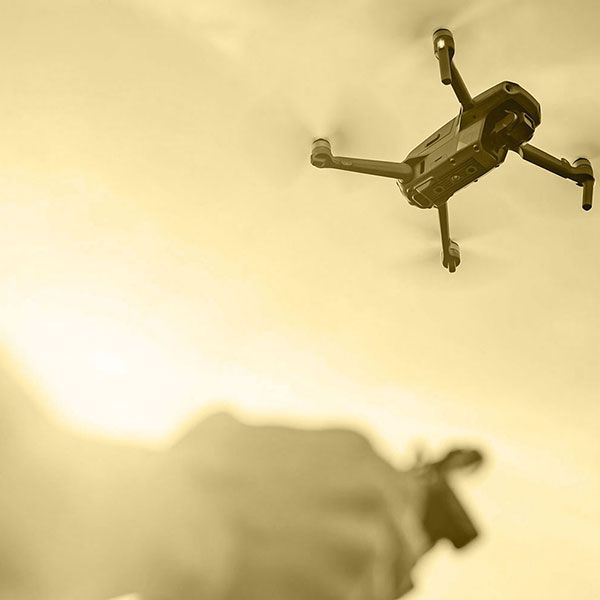 Relevé drone