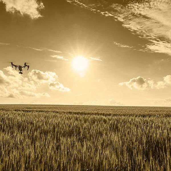 Location drone prix