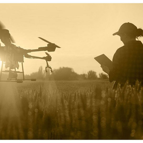 Tarif prestation drone thermique