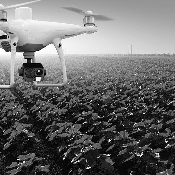 Inspection toiture drone