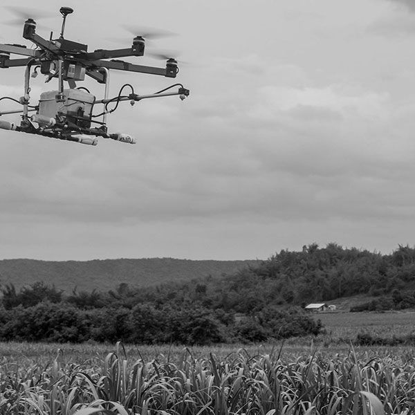 Location drone prix
