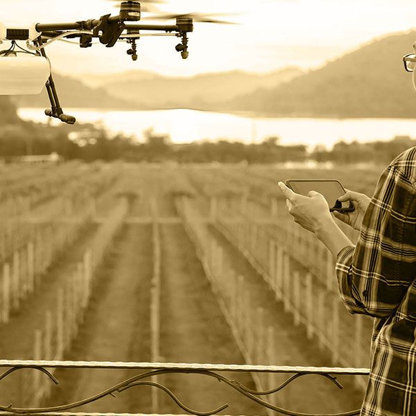 Réalisation vidéo drone