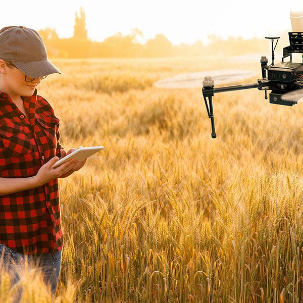 Devis prestation drone