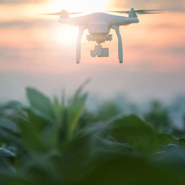 Tarif prestation drone thermique