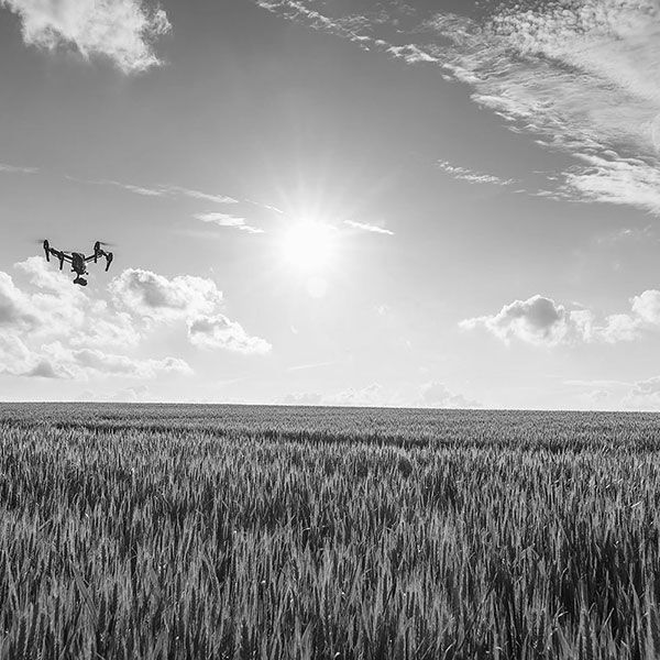 Location drone prix