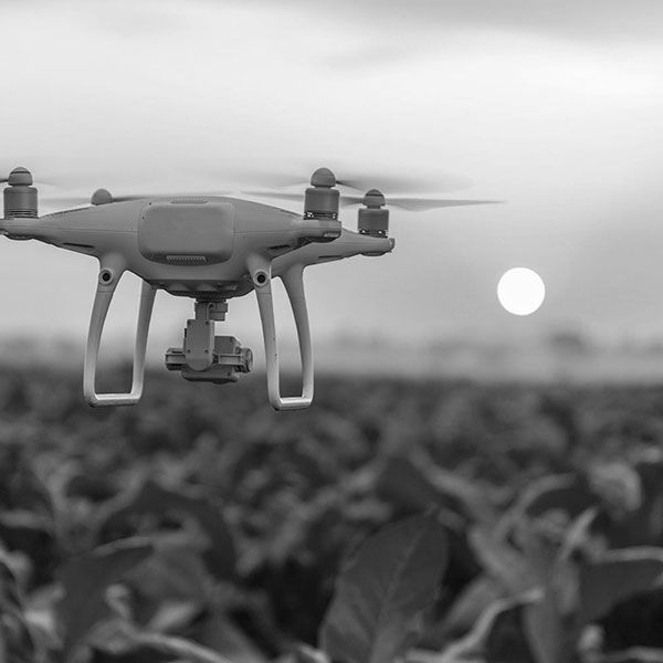 Location drone prix