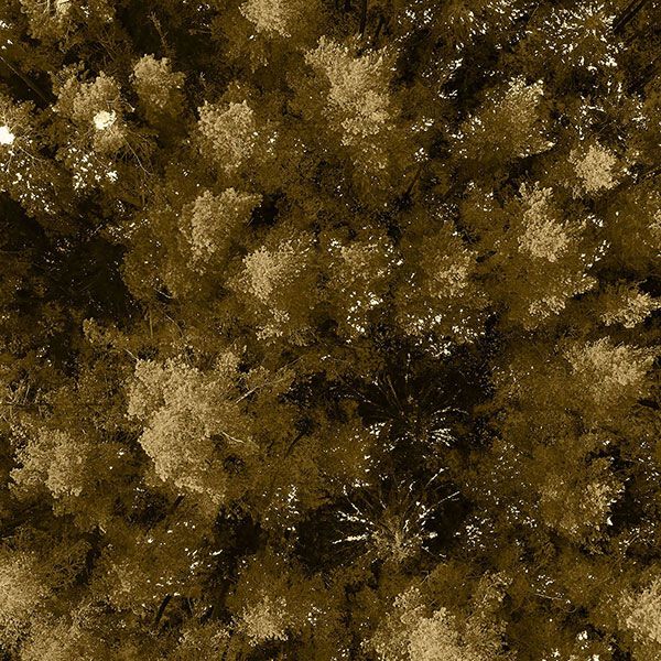 Photogrammétrie drone