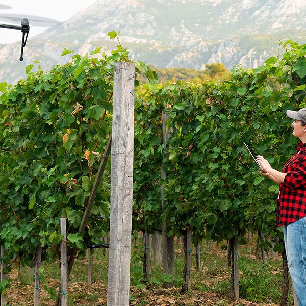 Diagnostic par drone