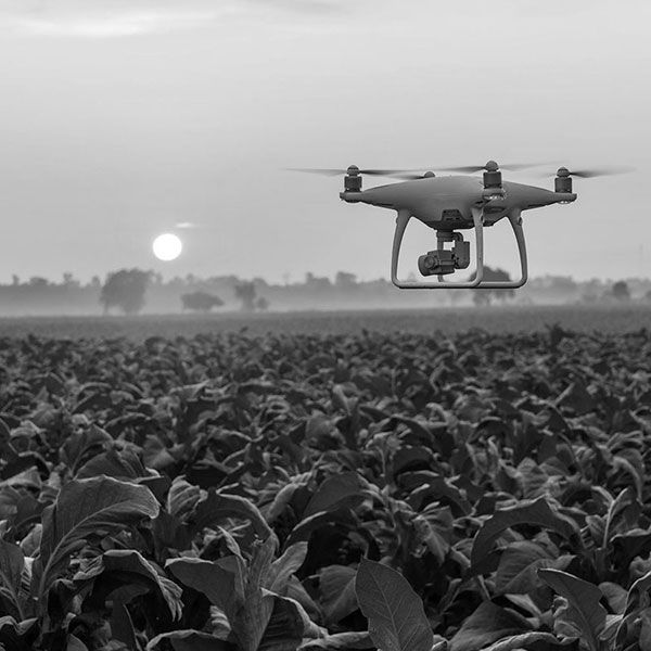Prestation drone video