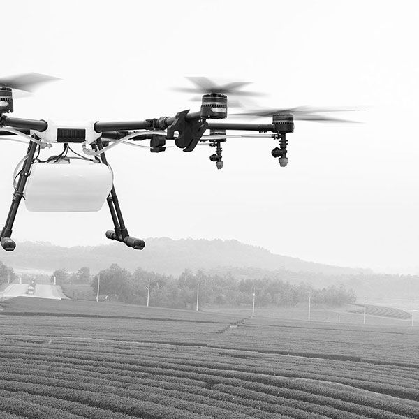 Prestation drone video