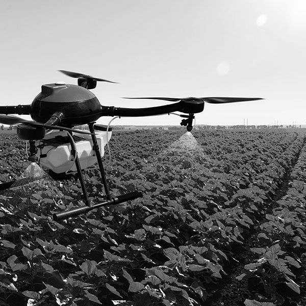 Inspection toiture drone