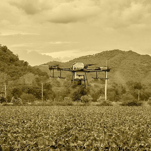 Photographie aerienne