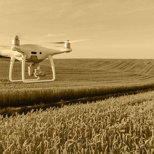 Vue du ciel drone