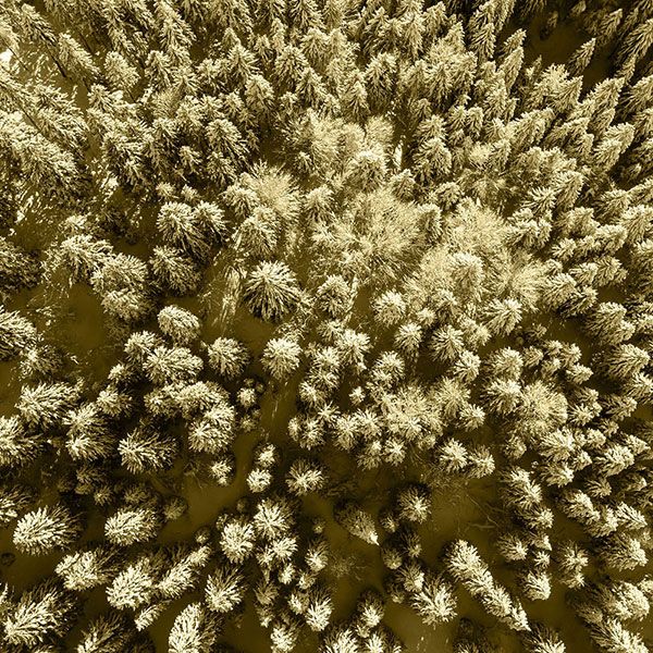 Photos aérienne drone
