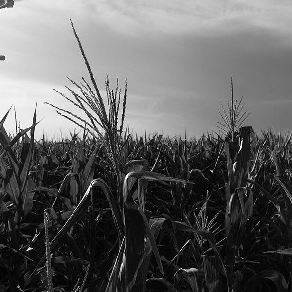 Prise de vue aerienne drone