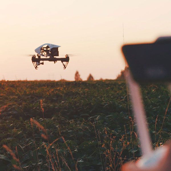 Photos aérienne drone