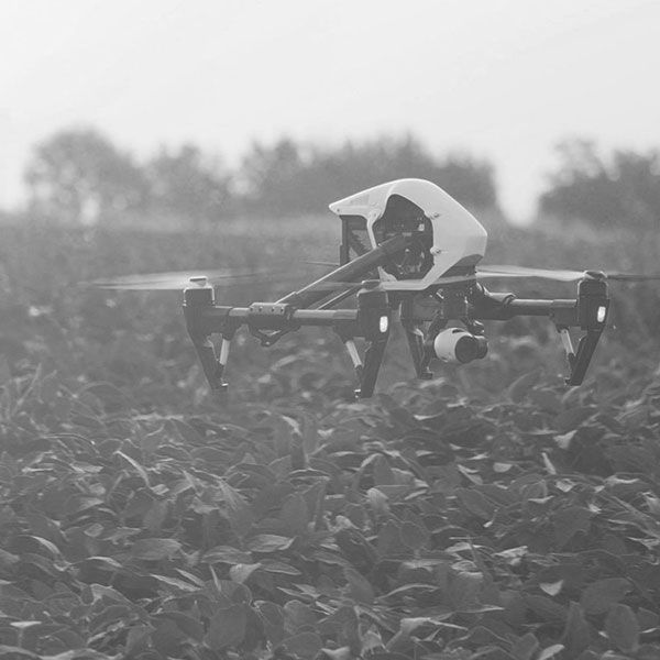 Photo aerienne drone
