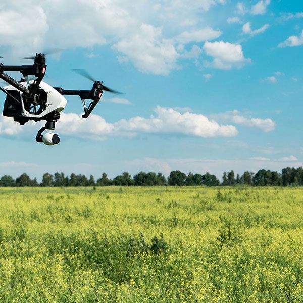 Photo aerienne drone