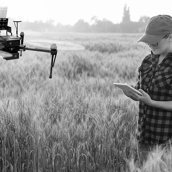 Photo aerienne drone