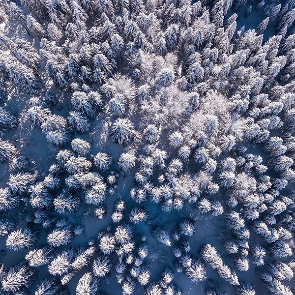 Photo vue du ciel