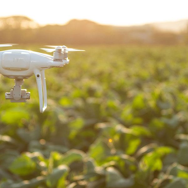 Photo aerienne drone