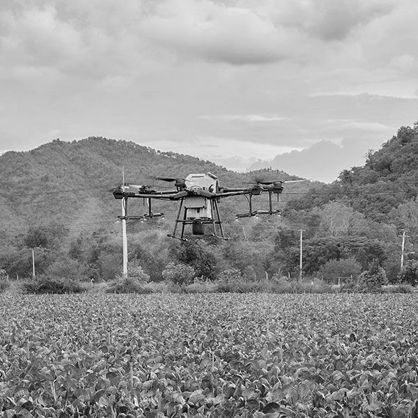 Prise de vue aerienne drone