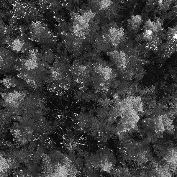 Photographie aerienne