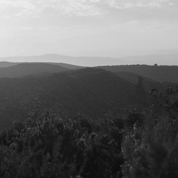 Photos aérienne drone