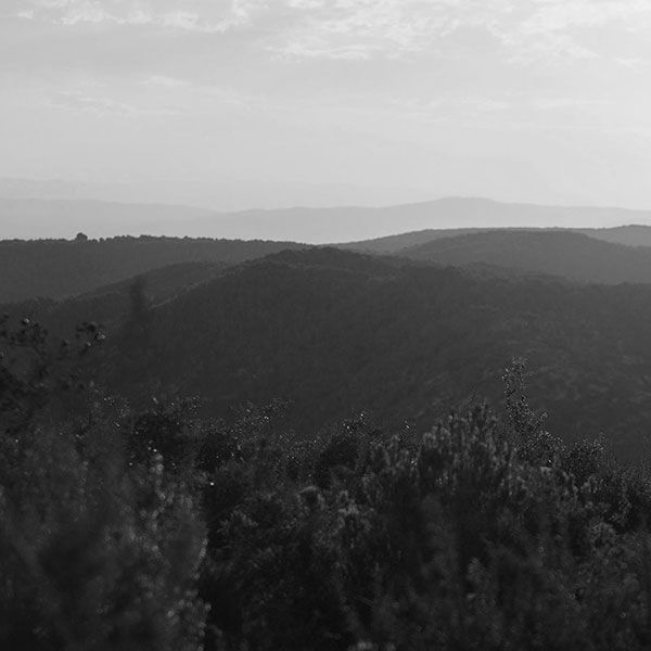 Photographie aerienne