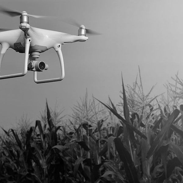 Vue du ciel drone
