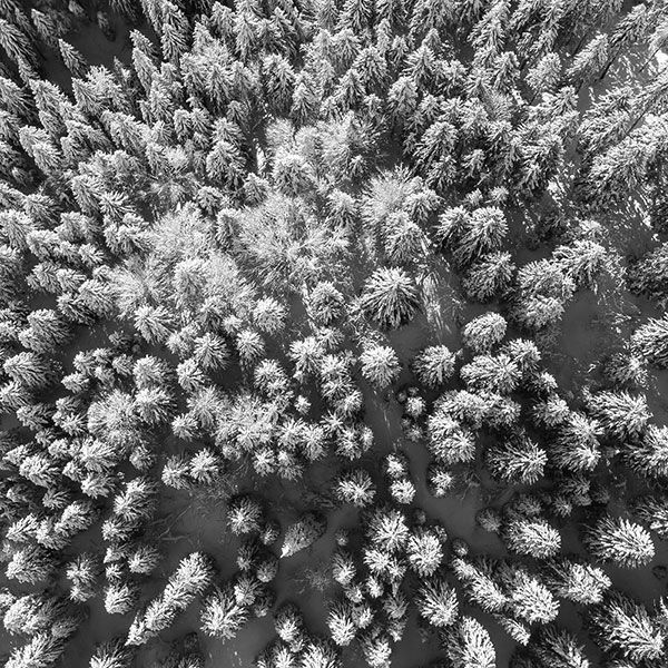 Vue aerienne de sa maison