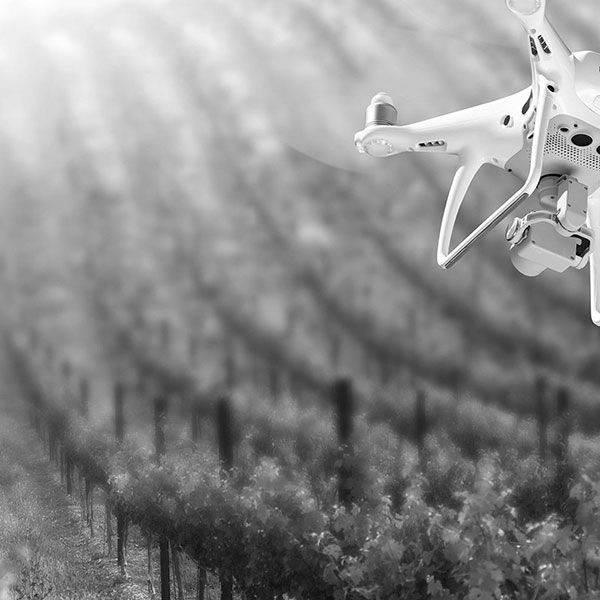 Photos aérienne drone