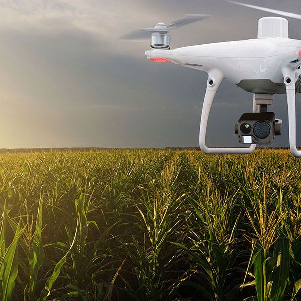 Photo aerienne drone