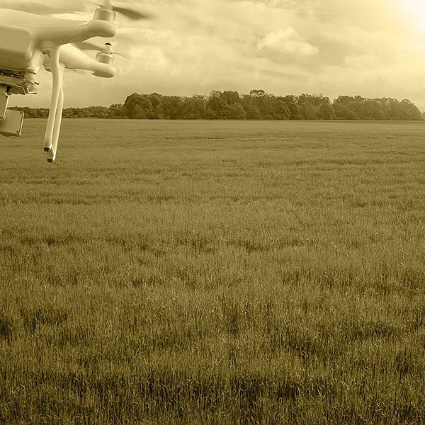 Photo aerienne drone