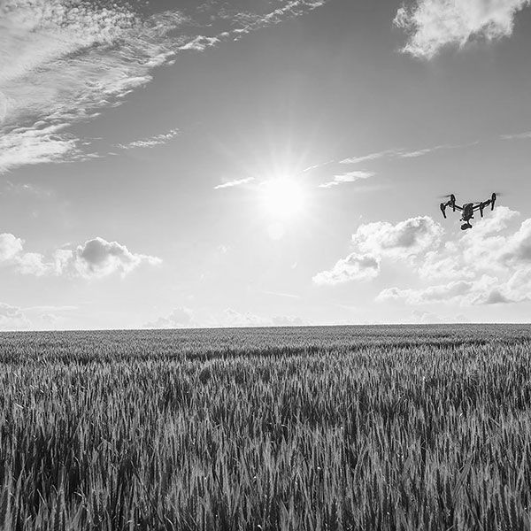 Photo aerienne drone